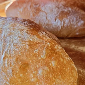 Ciabatta (Fr. & Sa.)