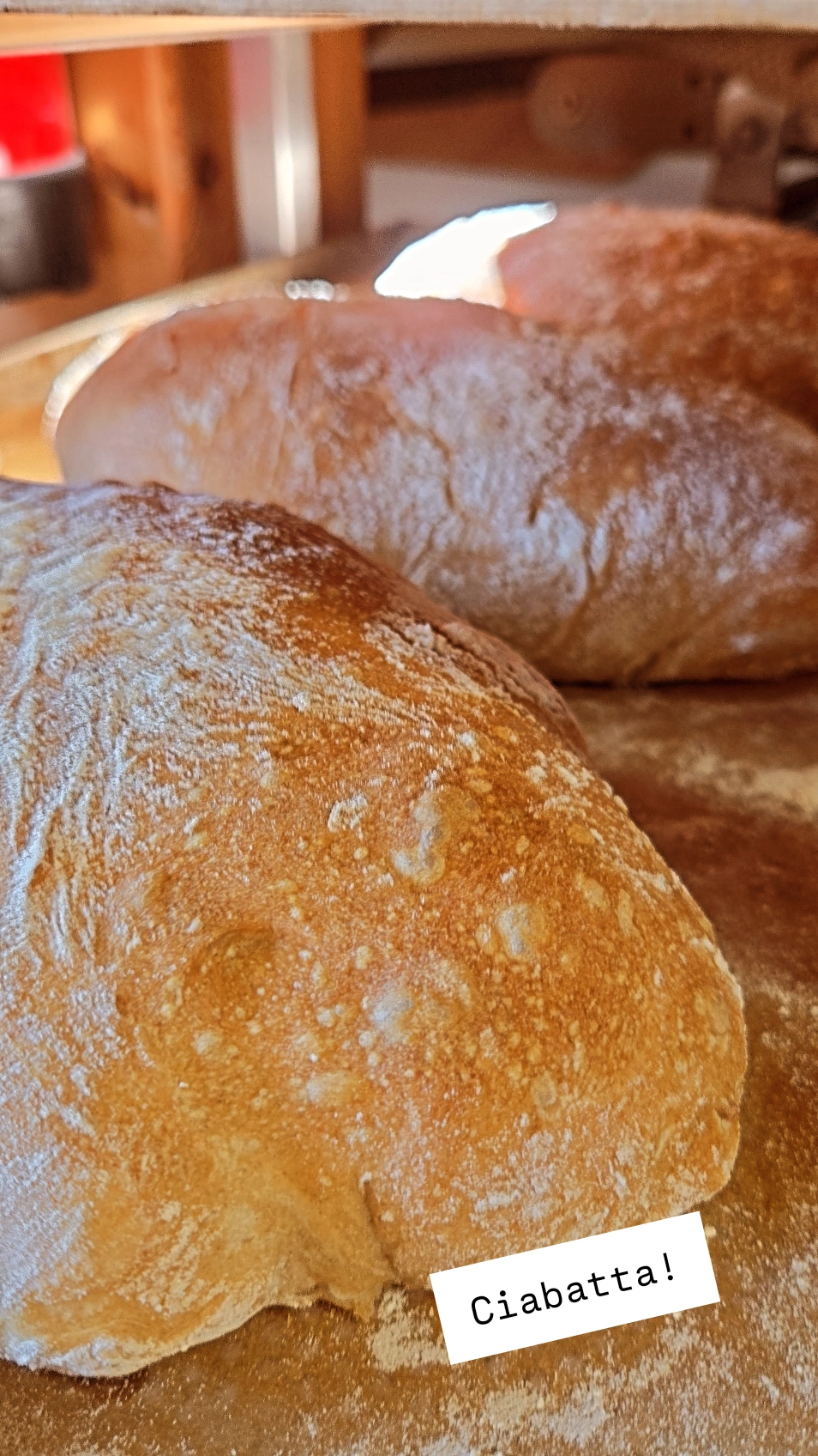 Ciabatta (Fr. & Sa.)